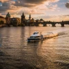 Boat cruises